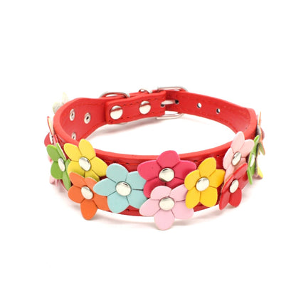 Double row flower pet collar