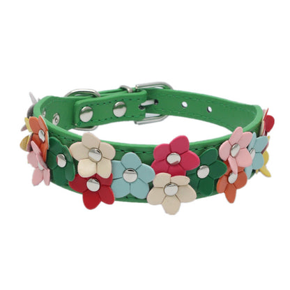 Double row flower pet collar