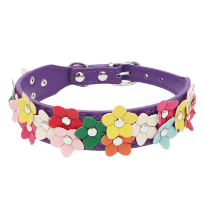 Double row flower pet collar