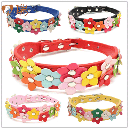 Double row flower pet collar