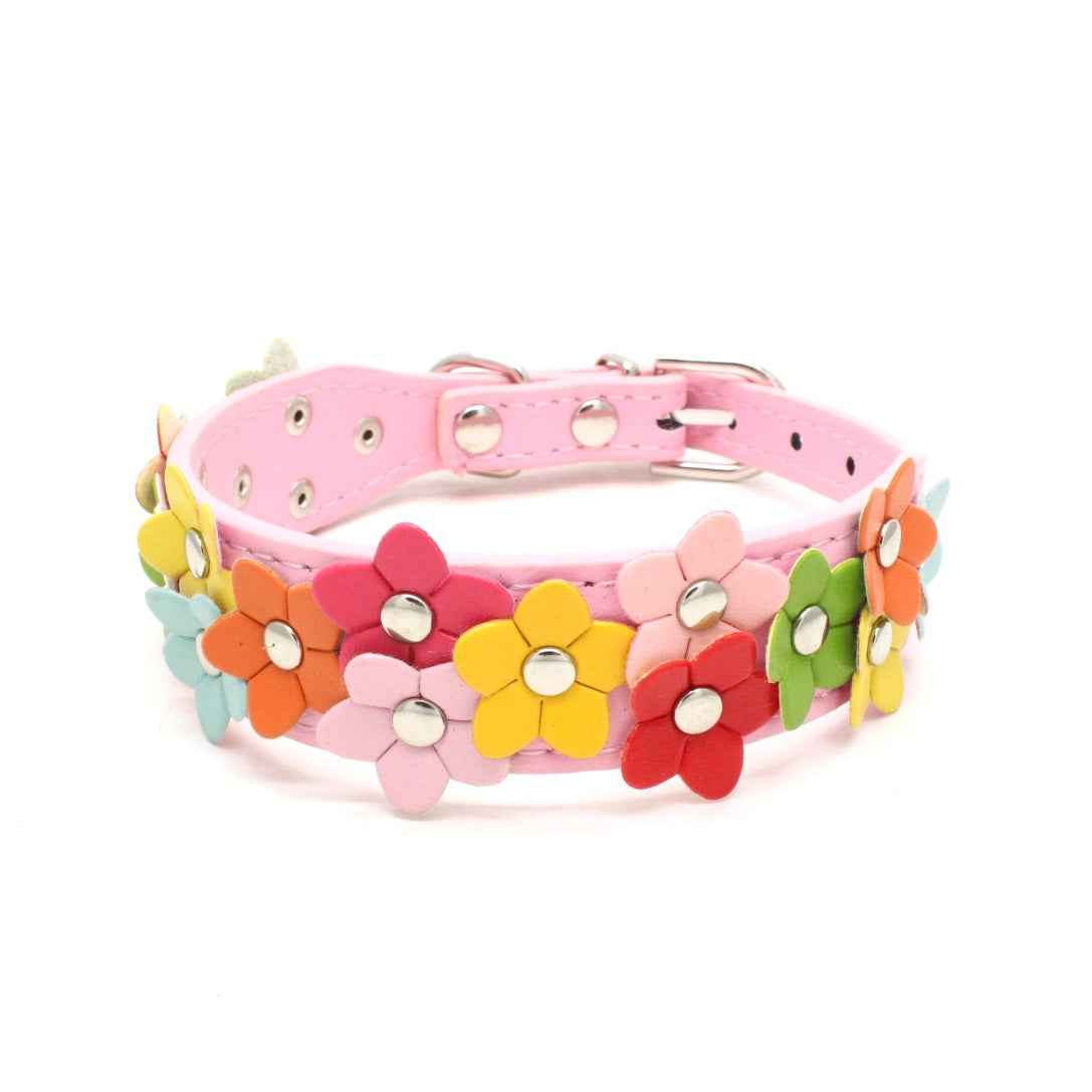 Double row flower pet collar