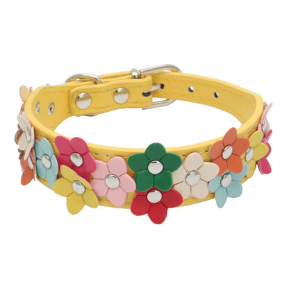 Double row flower pet collar